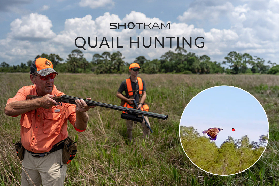 Two hunters in orange vests and caps, aiming at a quail mid-flight with a ShotKam camera mounted on the shotgun, captured in a field setting during a quail hunt.