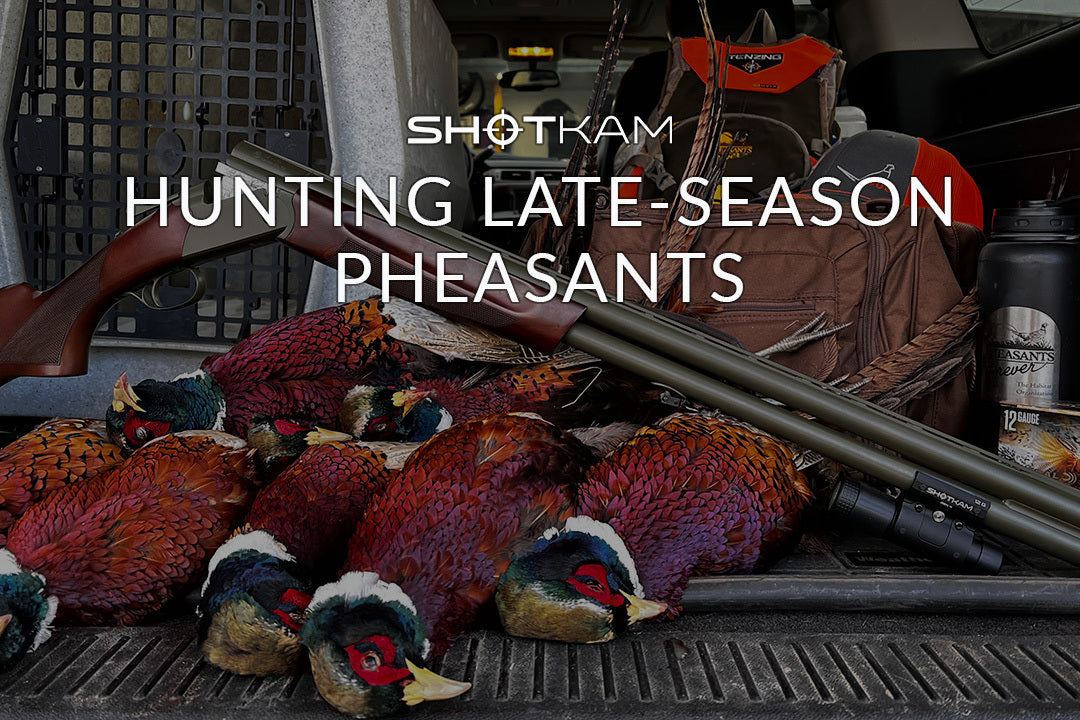 Hunting LateSeason Pheasants US Tips and Tricks ShotKam — USA