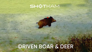 Driven Boar & Deer in Europe | By Maxime Watelet