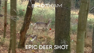 Epic Deer Shot with Rifle | By Alexander Nordin