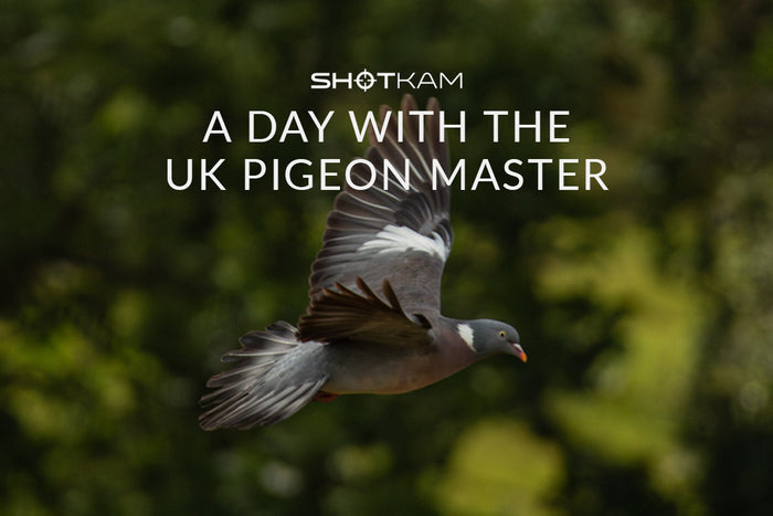 Close-up of a pigeon in flight, with the text 'A Day with the UK Pigeon Master' and the ShotKam logo displayed on the image.