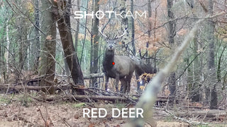 Red Deer Gen 4 Footage | By GoneHunting DK