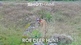 Roe Deer | By Mikael Olsson and Stefaan Rotthier