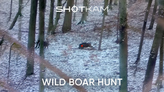 Wild Boar Hunting in the Snow | Rifle Footage By GoneHunting DK